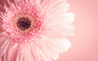 Menstruation And Hygiene