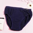 Period Panty