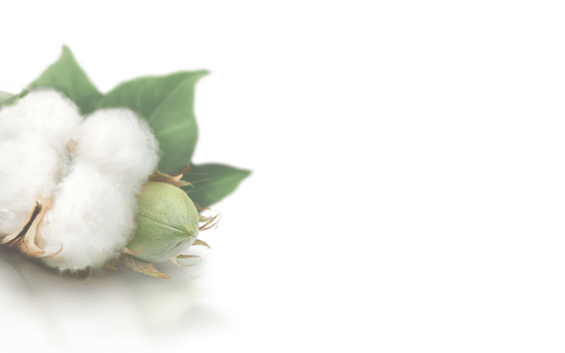 cotton cotton